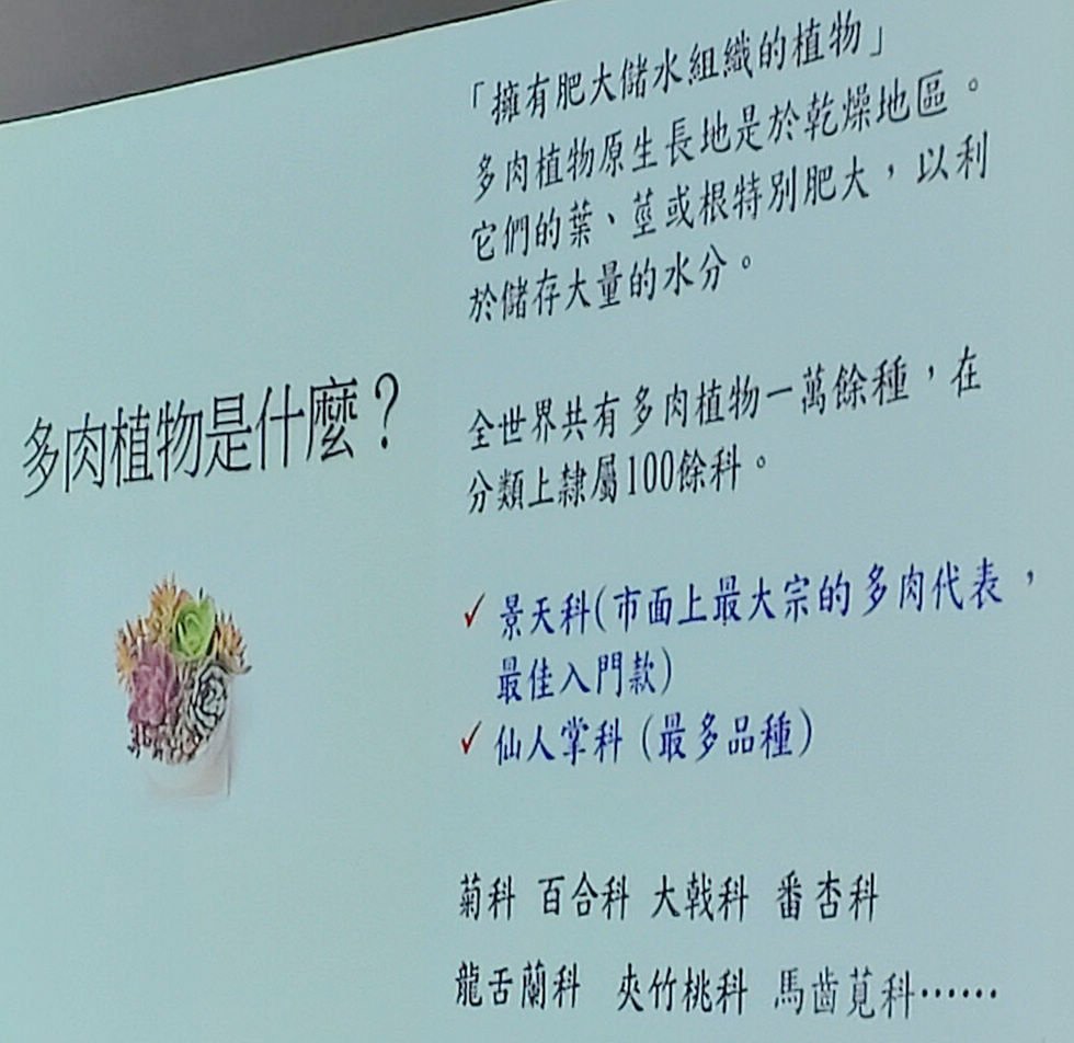 2024-09-02 文山公民會館-快意綠生活~療癒多肉植物