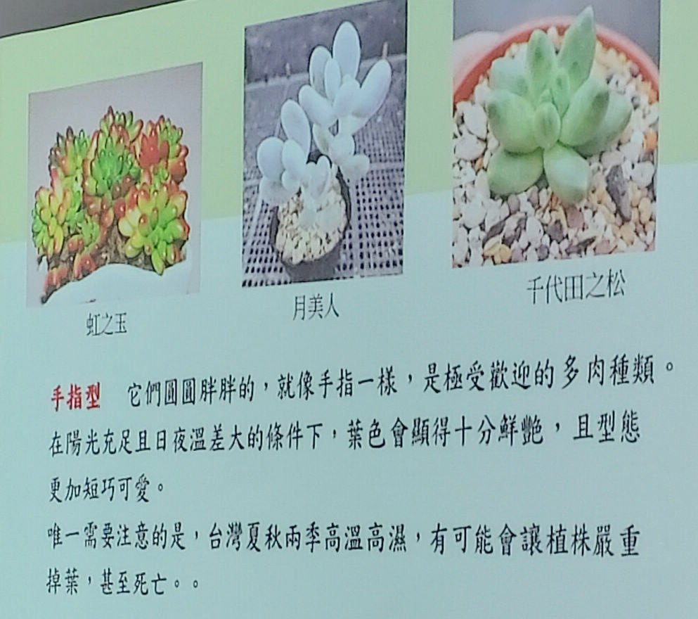 2024-09-02 文山公民會館-快意綠生活~療癒多肉植物