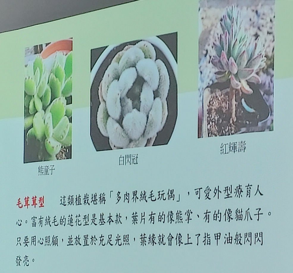 2024-09-02 文山公民會館-快意綠生活~療癒多肉植物