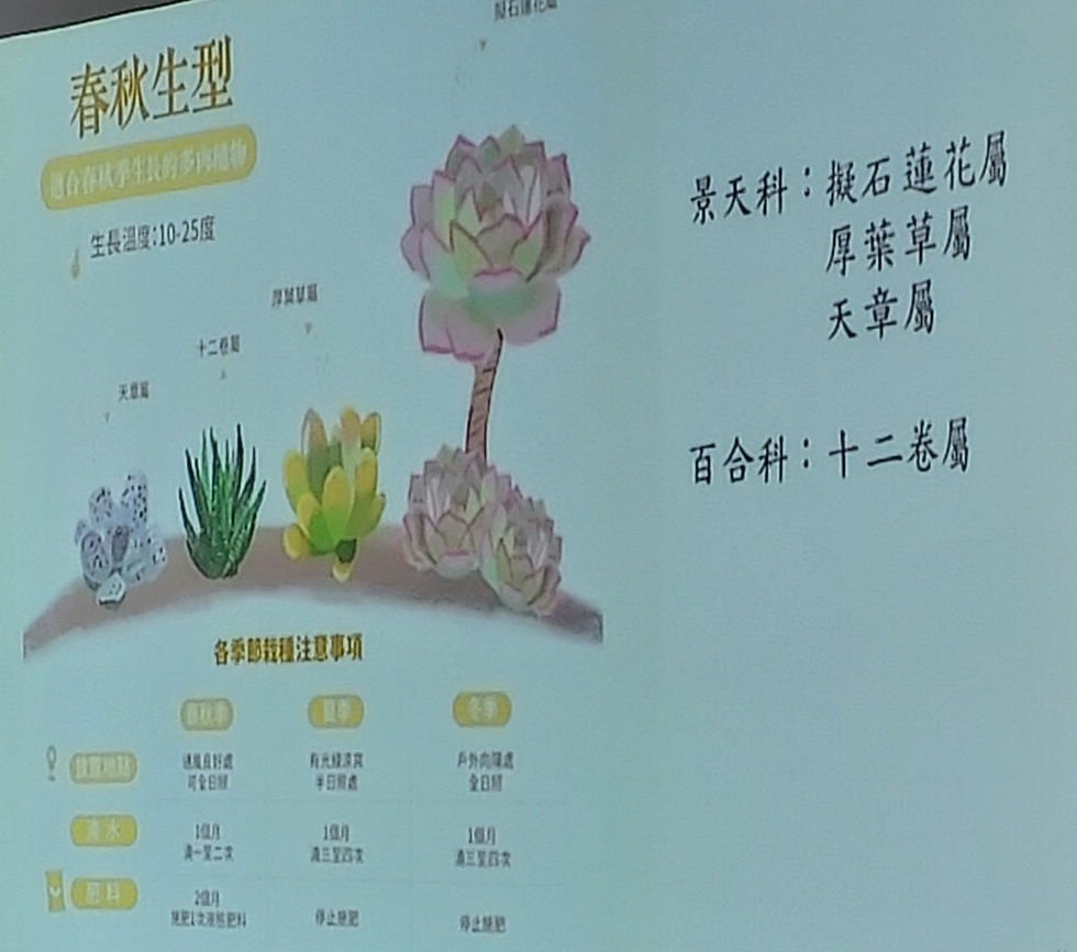 2024-09-02 文山公民會館-快意綠生活~療癒多肉植物