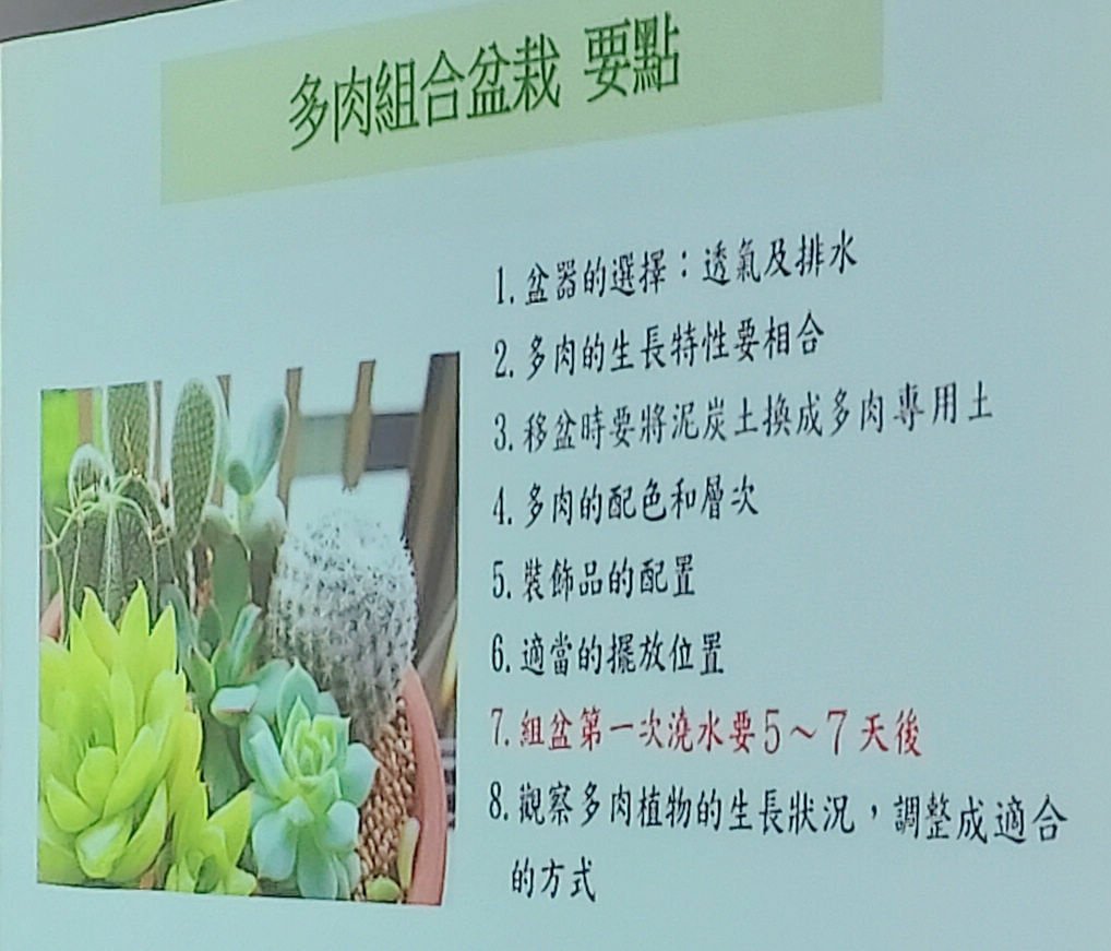 2024-09-02 文山公民會館-快意綠生活~療癒多肉植物