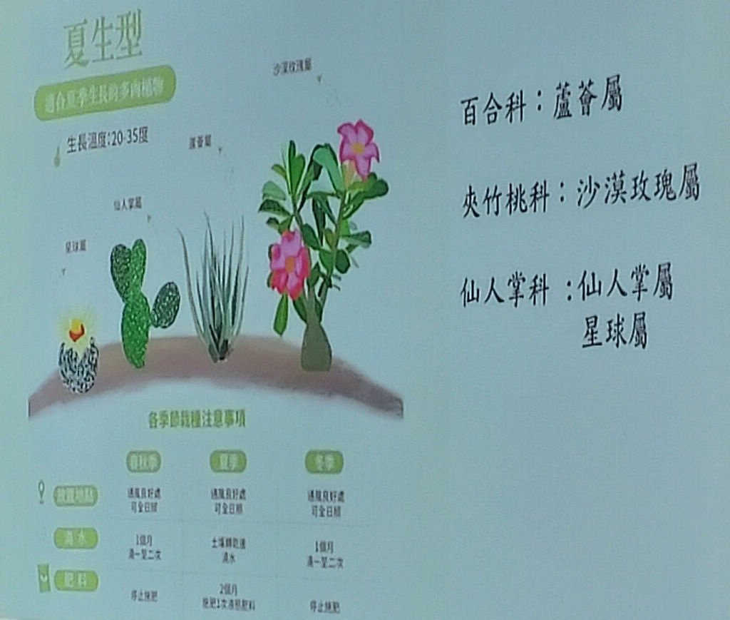 2024-09-02 文山公民會館-快意綠生活~療癒多肉植物