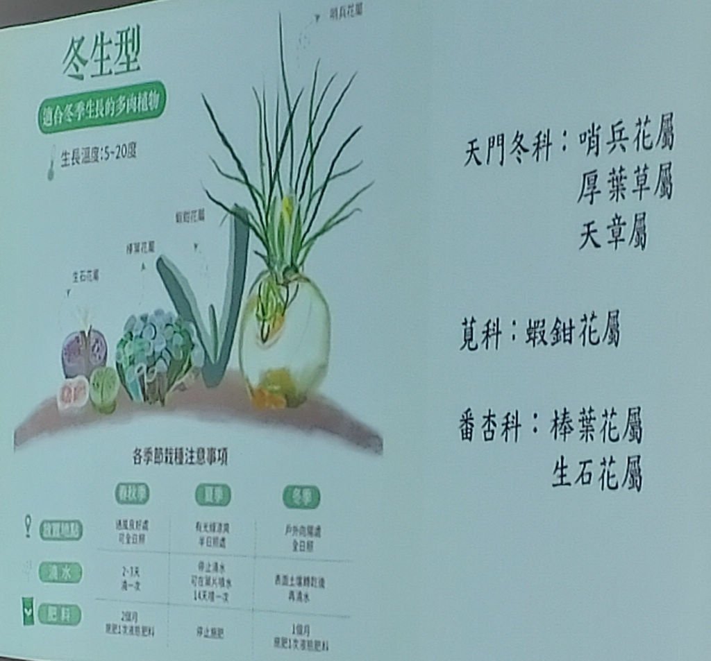 2024-09-02 文山公民會館-快意綠生活~療癒多肉植物