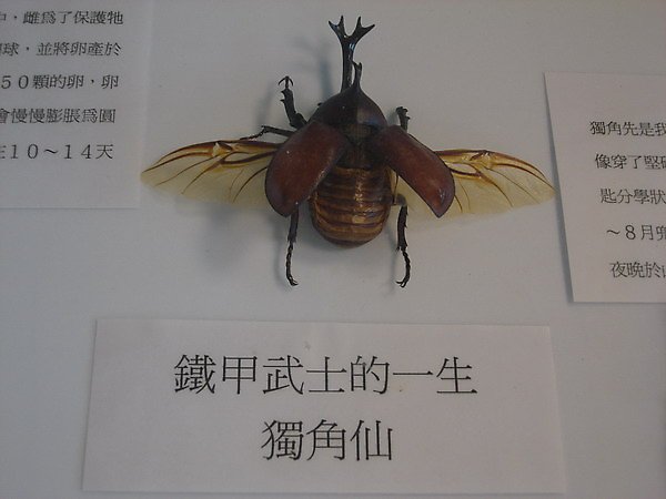 DSC03501.JPG