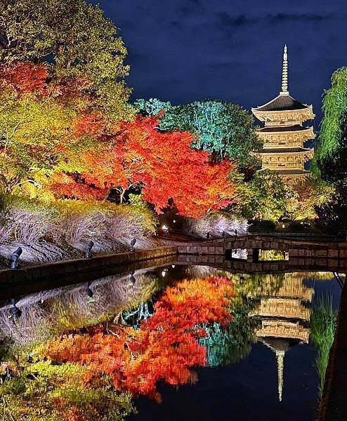 【京都絕美楓葉】快跟丸丸一起感受秋天的浪漫,賞楓不期而遇的秘