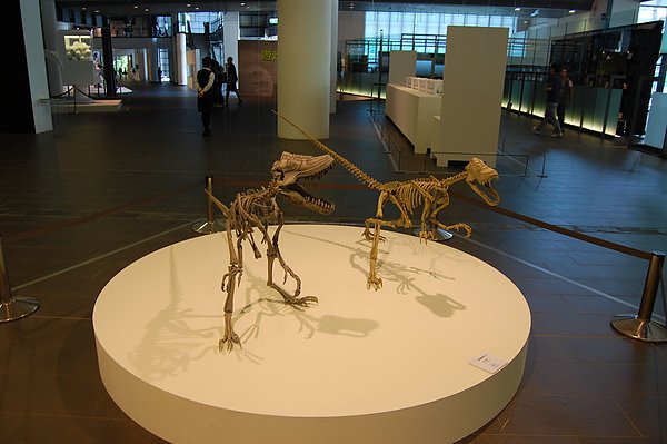 DSC_0552.JPG