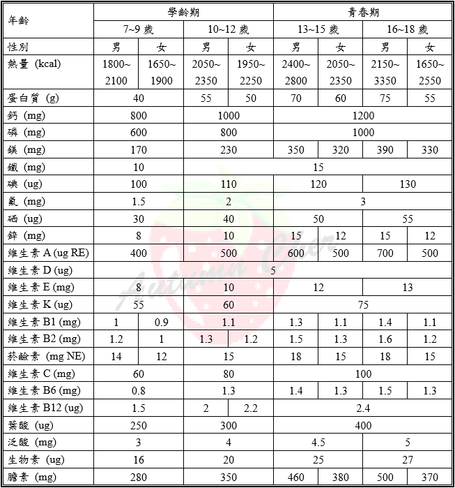 學齡期_青春期