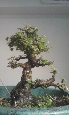 照片 137
