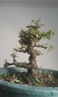 照片 135
