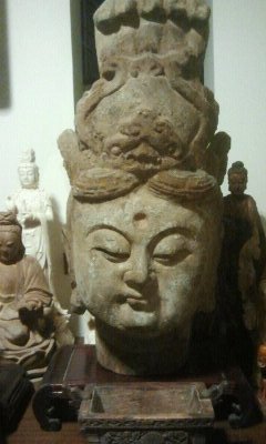 照片 147