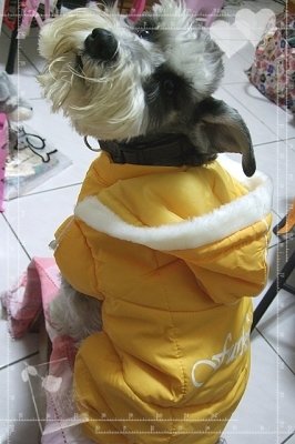 DSCF5986.jpg