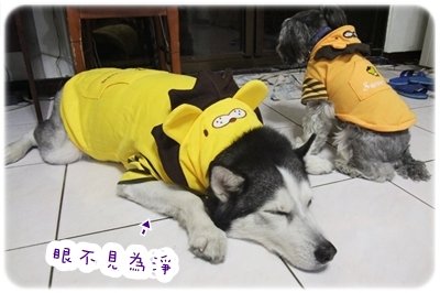 DSCF1648.JPG