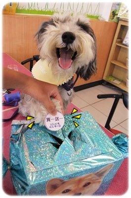 DSCF8575.JPG