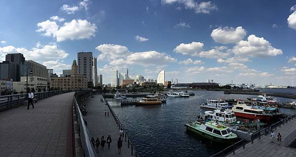 IMG_1587.JPG