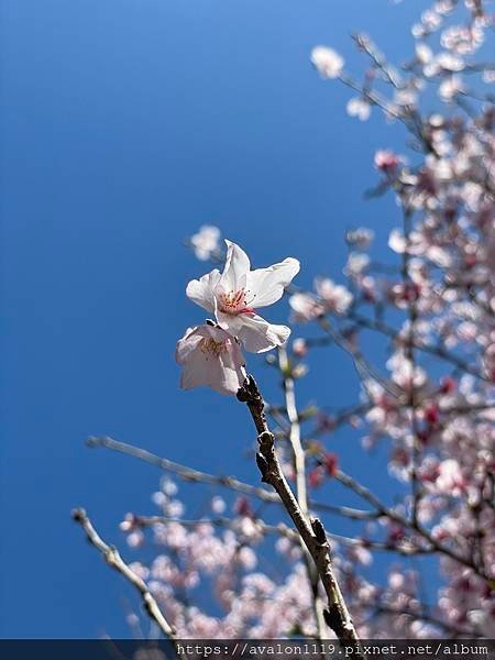 IMG_4440.jpeg