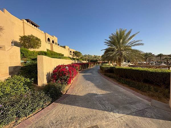 IMG_1408D.jpeg