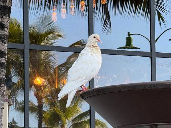 Honolulu Zoo