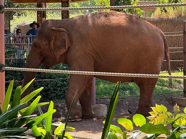 Honolulu Zoo