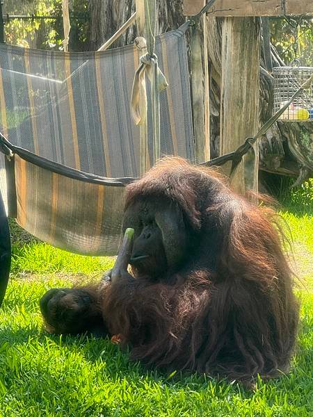 Honolulu Zoo