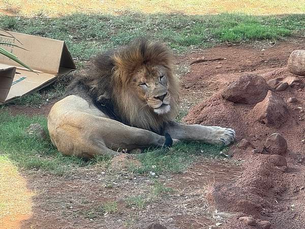 Honolulu Zoo