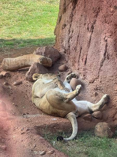 Honolulu Zoo