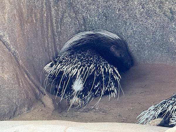 Honolulu Zoo