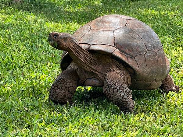 Honolulu Zoo