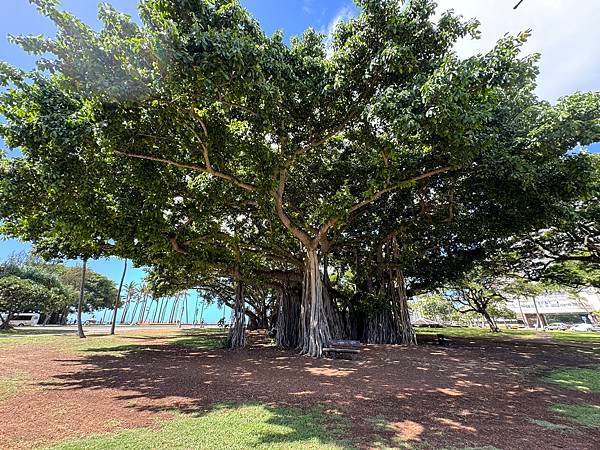 Honolulu Zoo