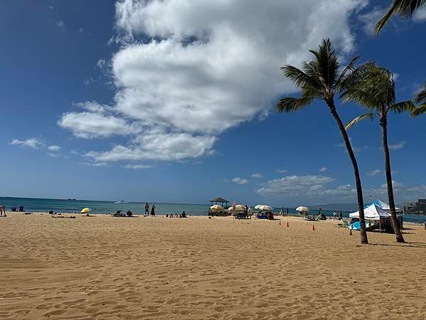 Waikiki Aquarium