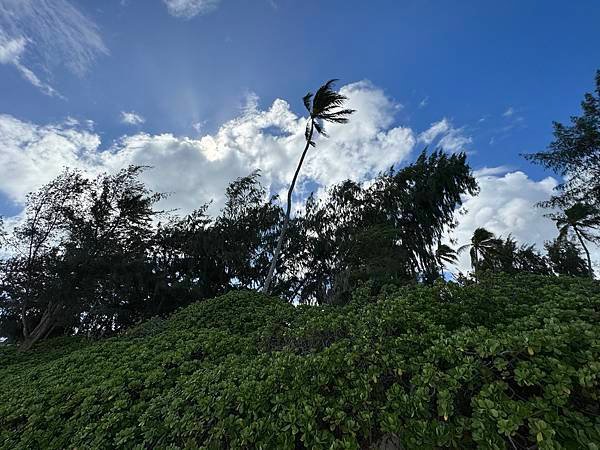 凱盧阿 Kailua