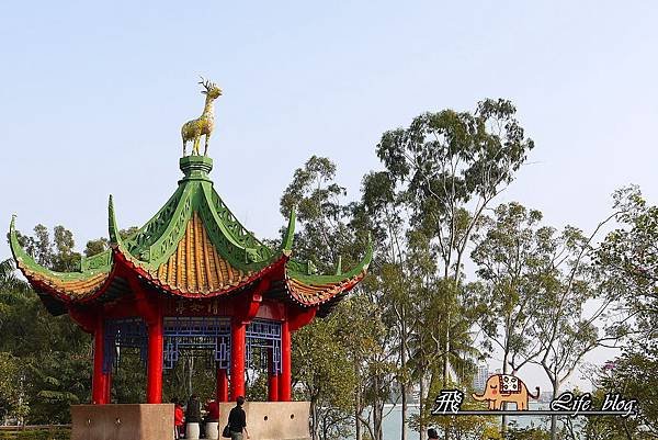 P1110649.JPG