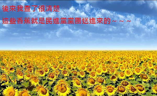 香蕉你個太陽花.PNG