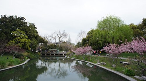 DSC01583.JPG