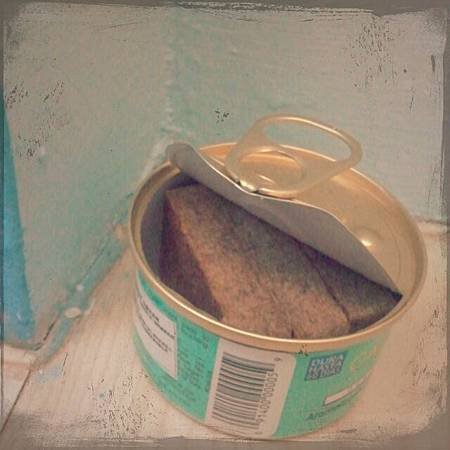 MHM_1110726195544.jpg