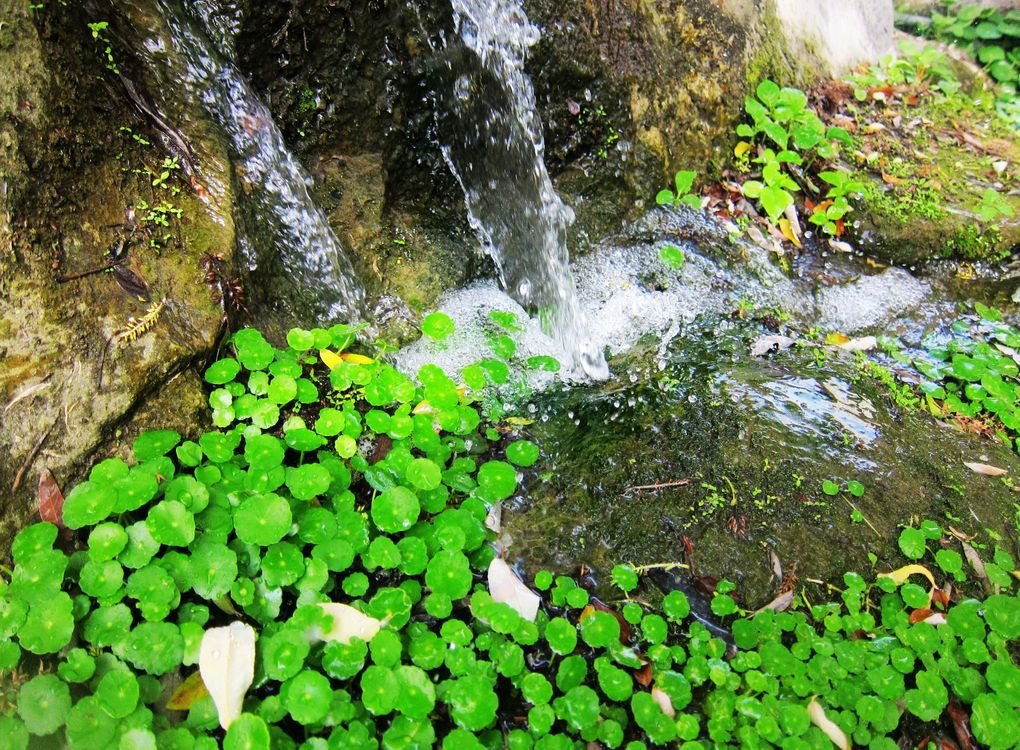 18.水流.jpg