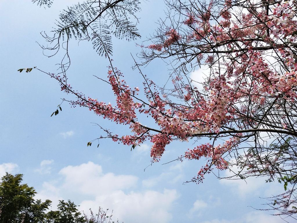03.勾畫.jpg