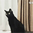 da4e8ebf6cfdd7f70221a55981eb7e73_w48_h48.gif
