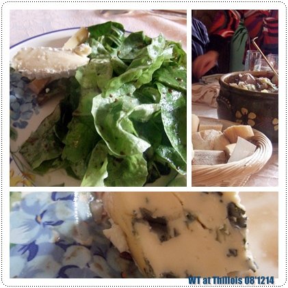 081215 fromage et salade.jpg