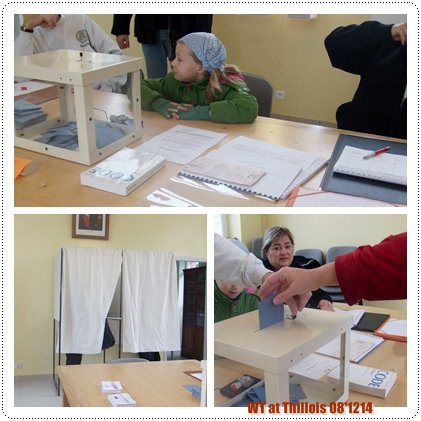 081215 vote.jpg