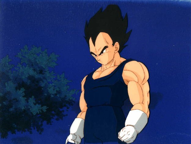 cel_030_vegeta