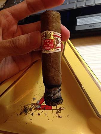 hoyo petit robusto2