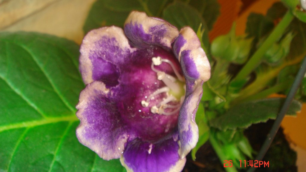 DSC02273.JPG