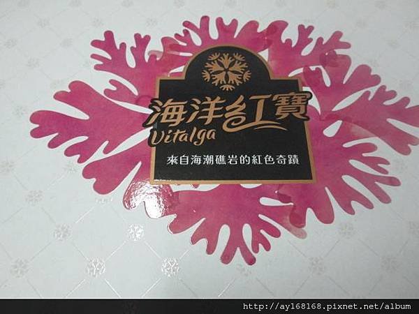 海木耳 內盒