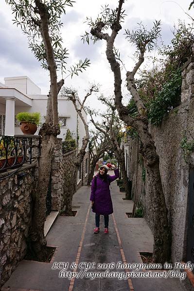 Day05-Capri (145).jpg