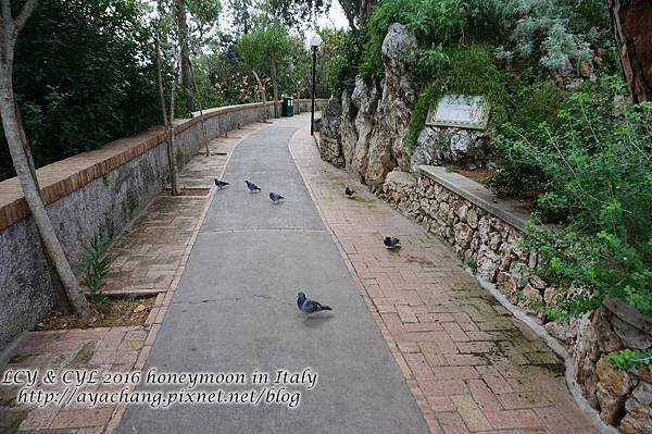 Day05-Capri (164).jpg