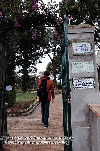 Day05-Capri (177).jpg