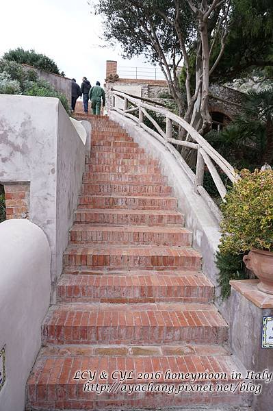 Day05-Capri (192).jpg