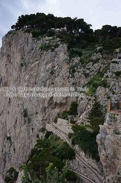 Day05-Capri (226).jpg