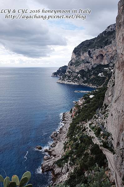 Day05-Capri (239).jpg