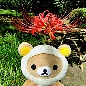 0918-3.JPG